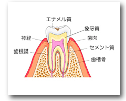 sisyuga1
